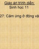 Bài giảng Sinh học 11 bài 27: Cảm ứng ở động vật (TT)