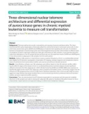 Three-dimensional nuclear telomere architecture and differential expression of aurora kinase genes in chronic myeloid leukemia to measure cell transformation