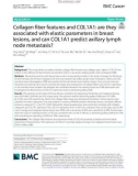 Collagen fiber features and COL1A1: Are they associated with elastic parameters in breast lesions, and can COL1A1 predict axillary lymph node metastasis?