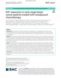 EVI1 expression in early-stage breast cancer patients treated with neoadjuvant chemotherapy