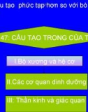 Bài giảng điện tử môn sinh học: cấu tạo trong của thỏ