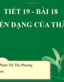 Bài giảng Sinh học 6: Bài 18 - Biến dạng của thân - GV. Phạm Thị Thu Hương