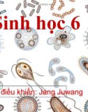 Bài giảng Sinh học 6 - Jang Juwang