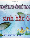 Bài giảng điện tử môn sinh học: Bảo vệ sự đa dạng của thực vật