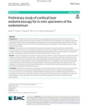 Preliminary study of confocal laser endomicroscopy for in vitro specimens of the endometrium