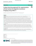 A deep-learning approach for segmentation of liver tumors in magnetic resonance imaging using UNet++