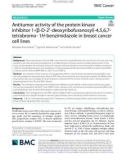 Antitumor activity of the protein kinase inhibitor 1-(β-D-2′-deoxyribofuranosyl)-4,5,6,7- tetrabromo-1H‑benzimidazole in breast cancer cell lines