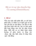 Hệ cơ và sự vận chuyển lớp Cá xương (Osteichthyes )