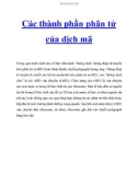 Các thành phần phân tử của dịch mã