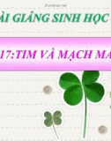 Bài giảng Sinh học 8 bài 17: Tim và mạch máu