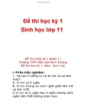 Đề thi học kỳ 1 Sinh học lớp 11