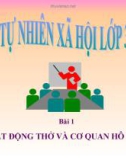 Slide bài Hoạt động thở và cơ quan hô hấp - Tự Nhiên Xã Hội 3 - GV.H.T.Minh