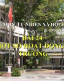 Slide bài Một số hoạt động ở trường - Tự Nhiên Xã Hội 3 - GV.B.N.Kha