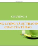 Chương 4: Năng lượng và sự trao đổi chất của tế bào