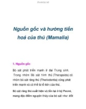 Nguồn gốc và hướng tiến hoá của thú (Mamalia)