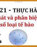 Bài giảng môn Khoa học tự nhiên lớp 6 bài 21: Thực hành quan sát và phân biệt một số loại tế bào