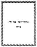 Nhà đẹp ngự trong rừng