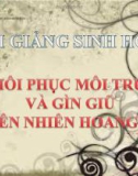 Bài giảng Sinh học 9 bài 59: Khôi phục môi trường và gìn giữ thiên nhiên hoang dã