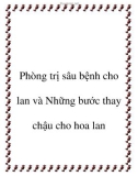 Phòng trị sâu bệnh cho lan và những bước thay chậu cho hoa lan