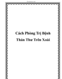 Cách Phòng Trị Bệnh Thán Thư Trên Xoài