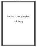 Lao đao vì tôm giống kém chất lượng