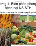 Bài giảng Vi sinh vật hại nông sản sau thu hoạch: Chương 4 - PGS.TS. Ngô Bích Hảo