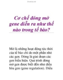 Cơ chế đóng mở gene diễn ra như thế nào trong tế bào?