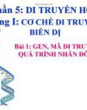 Bài giảng môn Sinh học lớp 12 bài 1: Gen, mã di truyền và quá trình nhân đôi ADN