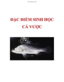 ĐẶC ĐIỂM SINH HỌC CÁ VƯỢC