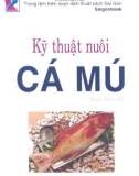 Kỹ thuật nuôi cá mú part 1