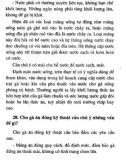 81 Câu hỏi đáp về chăn nuôi gà công nghiệp part 3