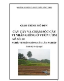 Giáo trình Cấy cây và chăm sóc cây vi nhân giống ở vườn ươm - MĐ05: Vi nhân giống cây lâm nghiệp