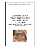 Giáo trình Phòng trị bệnh tôm thẻ chân trắng - MĐ05: Nuôi tôm thẻ chân trắng