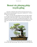 Bonsai các phương pháp truyền giống