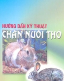 Hướng dẫn kỹ thuật chăn nuôi thỏ part 1