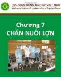 Bài giảng Nhập môn chăn nuôi - Chương 6: Chăn nuôi lợn