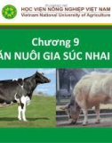 Bài giảng Nhập môn chăn nuôi - Chương 9: Chăn nuôi gia súc nhai lại