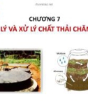 Bài giảng Vệ sinh thú y 2 (Veterinary Hygiene): Chương 7 - Nguyễn Thu Thủy