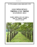 Giáo trình Trồng cây Trôm - MĐ04: Trồng cây lấy nhựa Sơn ta, Thông, Trôm