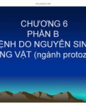 Bài giảng Bệnh học thủy sản: Chương 6 - Hồ Phương Ngân (Phần B)