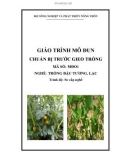 Giáo trình Chuẩn bị trước gieo trồng đậu tương, lạc