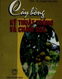 Cây hồng kỹ thuật trồng và chăm sóc