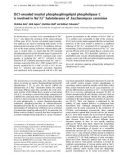 Báo cáo khoa học: ISC1-encoded inositol phosphosphingolipid phospholipase C is involved in Na+/Li+ halotolerance of Saccharomyces cerevisiae