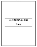 Đặc Điểm Của Heo Rừng