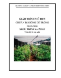 Giáo trình Chuẩn bị giống để trồng - MĐ01: Trồng vải, nhãn