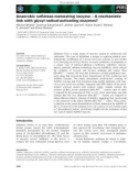 Báo cáo khoa học: Anaerobic sulfatase-maturating enzyme – A mechanistic link with glycyl radical-activating enzymes?