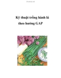 Kỹ thuật trồng hành lá theo hướng GAP