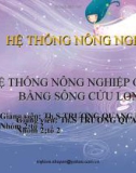 HỆ THỐNG NÔNG NGHIỆP Ở ĐỒNG BẰNG SÔNG CỬU LONG