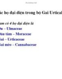 Giáo trình cây rừng part 3