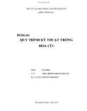 Bài báo cáo QUY TRÌNH KỸ THUẬT TRỒNG HOA CÚC